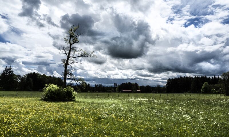 Vreme de primăvară la sfârșit de octombrie. Noiembrie miroase a iarnă. Prognoza ANM