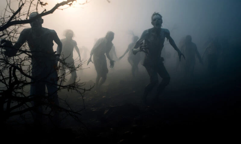 Zombie. De la ritualurile haitiene la monștri moderni