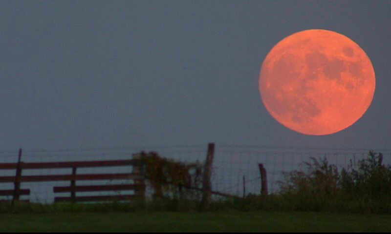Noiembrie, sub semnul Lunii Pline în Taur. Ce zodii sunt puse la încercare