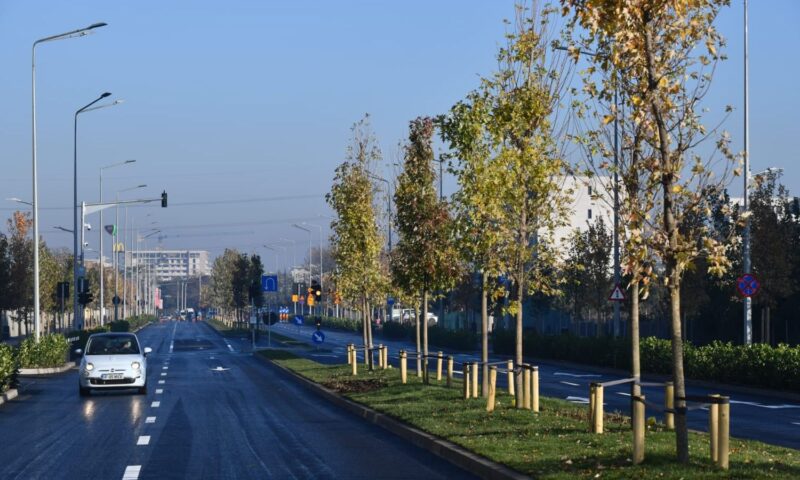 Ciprian Ciucu – primarul care a transformat o uliță uitată într-un bulevard demn de o capitală europeană