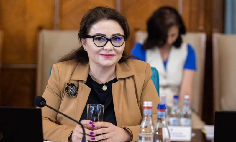 Numele Cristinei Trăilă, în ancheta DNA. Ce legături ar avea cu omul de afaceri Fănel Bogos