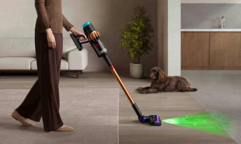 Proprietarii de animale de companie petrec mai mult timp făcând curățenie