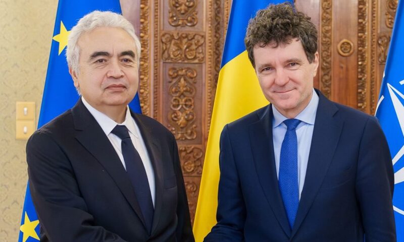 Nicuşor Dan: Aderarea la OCDE, o condiție pentru intrarea României în Agenția Internațională de Energie