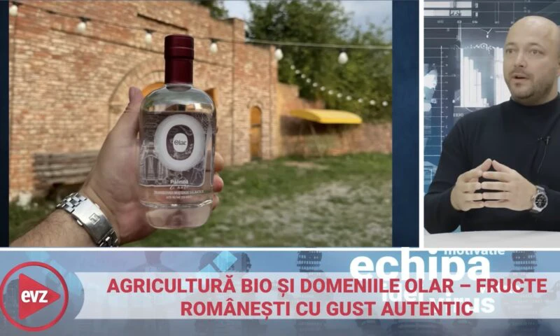 De la lemn la pământ: un ecosistem de familie între mobilier, pomicultură și pălincă premium