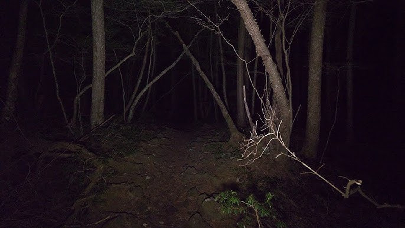 Pădurea Aokigahara.