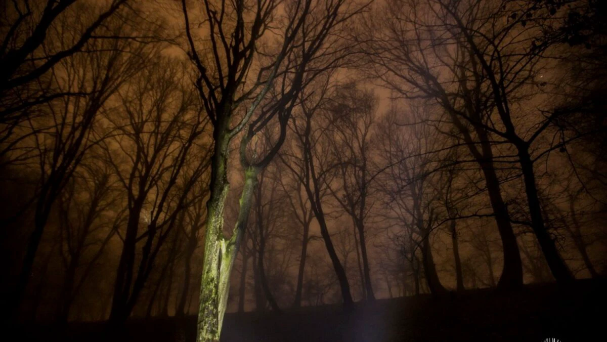 Pădurea din România ce a fascinat întreaga lume. Mistere, legende și dispariții inexplicabile