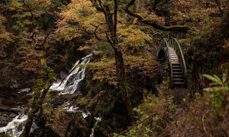 Pădurea de basm cu „Podul Diavolului”, atracție turistică din Țara Galilor