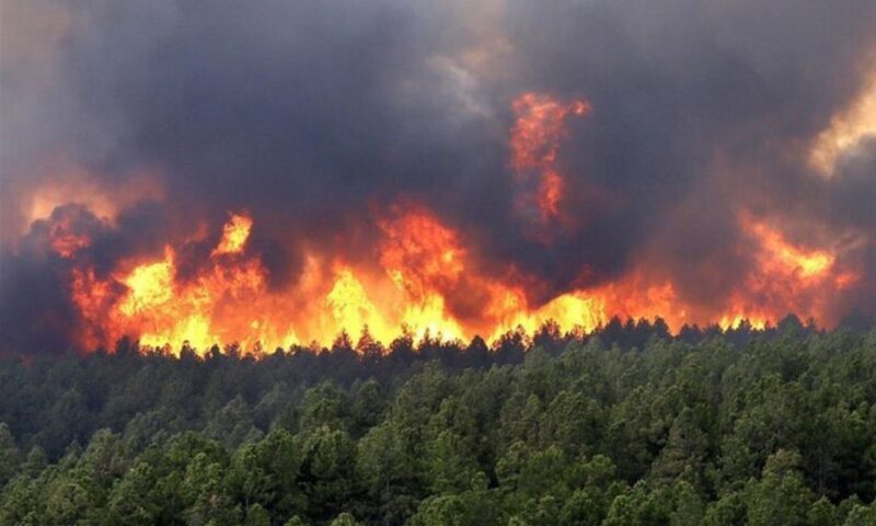 Incendiu uriaș în pădurile Hyrcaniene. 400 de pompieri mobilizați. Turcia sare în ajutor