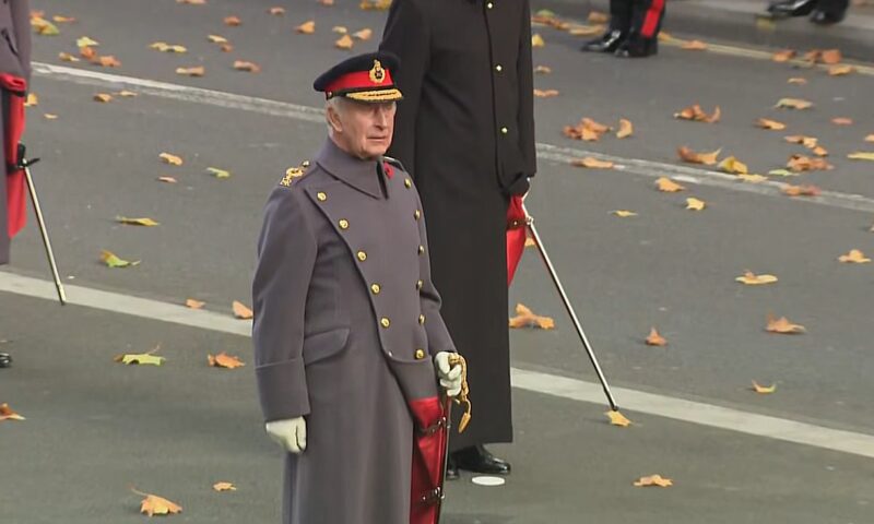 Regelea Charles, la ceremonia de marcare a 80 de ani de la sfârșitul războiului