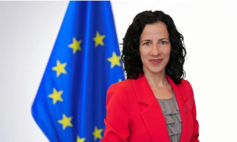 Programul Erasmus+ va avea un buget record, în 2026, anunță Roxana Mînzatu