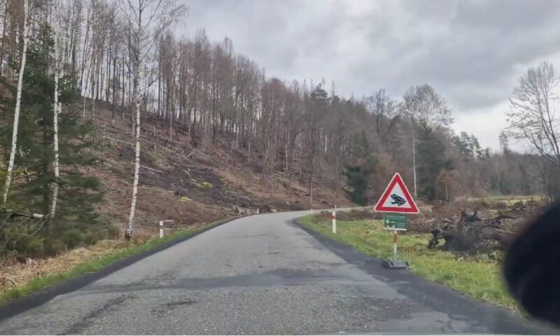 Cele mai ciudate și neînțelese semne de circulație din Europa. Indicatoarele pun șoferii pe gânduri