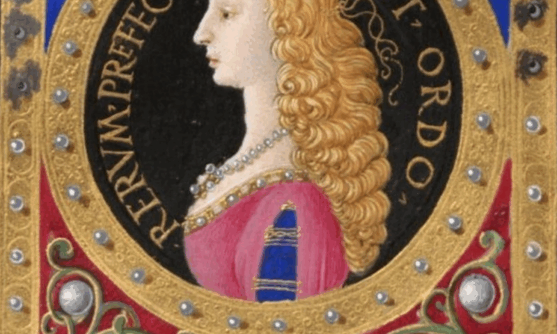 Beatrice a fost regina Ungariei de două ori, cu doi soți diferiți. Unul din ei era fiul lui Iancu de Hunedoara