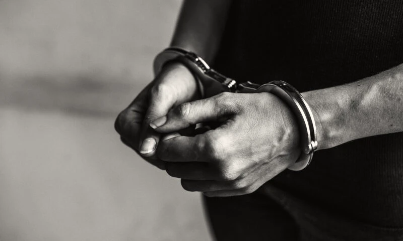 Instrumente de tortură, găsite acasă la un bărbat care a rănit o pisică