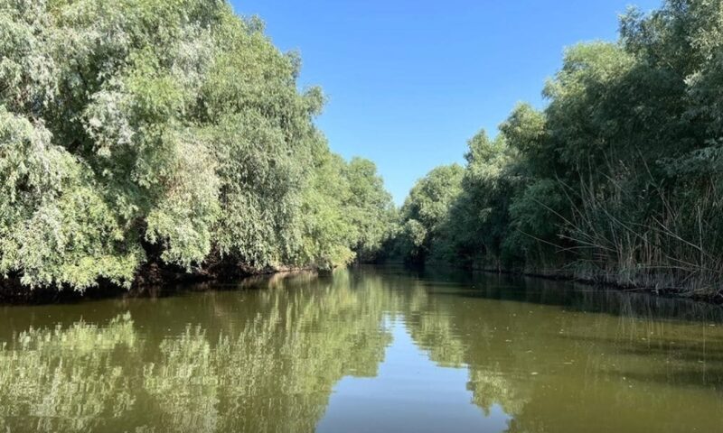 Accident naval în Delta Dunării. Un bărbat a fost rănit în urma coliziunii a două ambarcațiuni