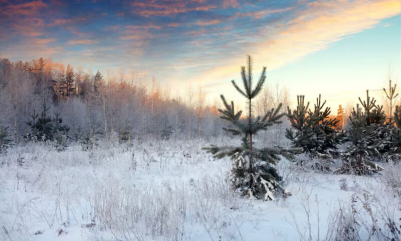 Prognoza meteo, 30 noiembrie. Ultima zi de toamnă aduce un nou val de frig. Lapoviță și ninsoare la munte