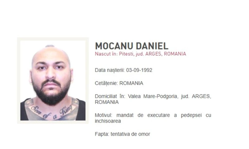 Adevărul despre averea lui Dani Mocanu, dezvăluit de avocatul Bogdan Păun