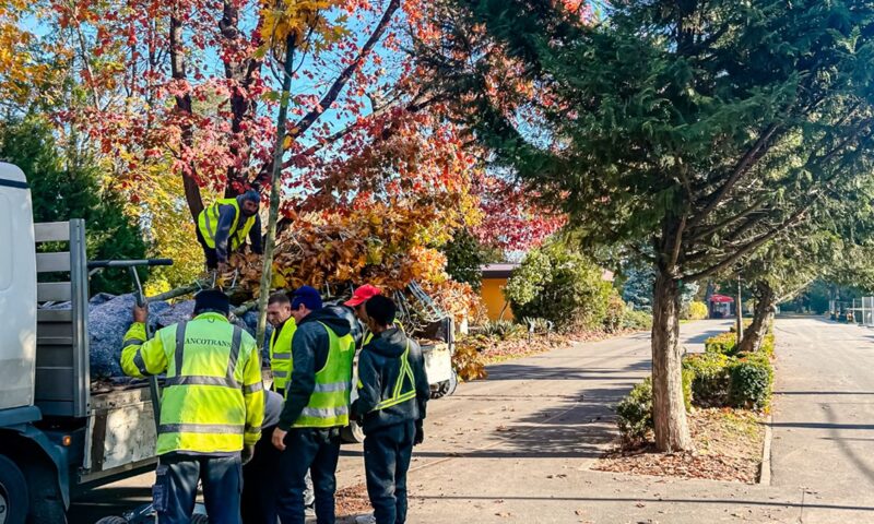 ALPAB, achiziții de la o firmă vizată de DNA. Instituția se raportează la un registru neconform