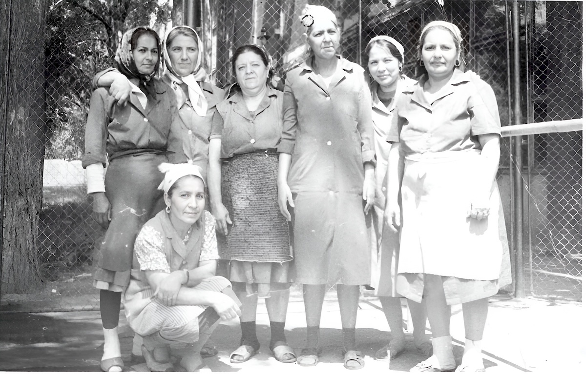 Muncitoare Tricodava