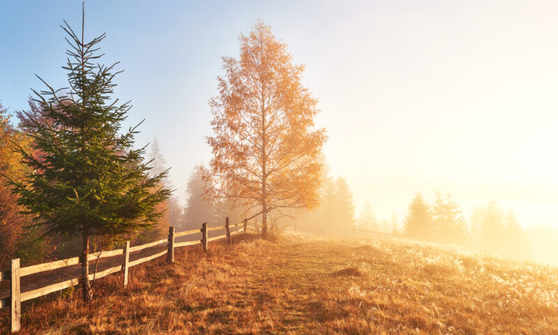 Anticiclon în estul Europei. Noiembrie va începe cu temperaturi neobișnuit de calde