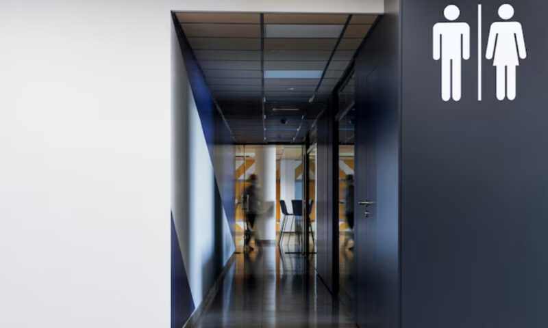 Toaletele publice din Europa, în topul rușinii. Bucureștiul, loc surprinzător în cel al curățeniei