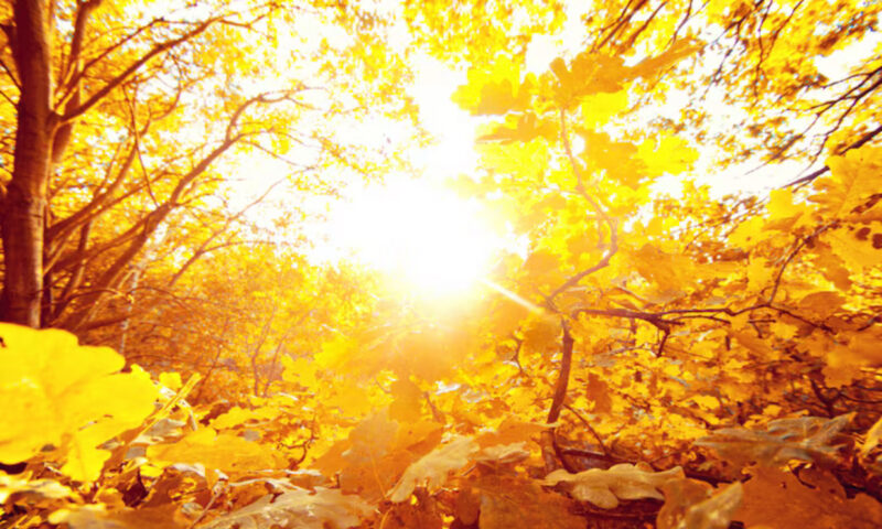 Prognoza meteo, 12 noiembrie. Vremea sfidează toamna. Temperaturi ridicate în toată țara