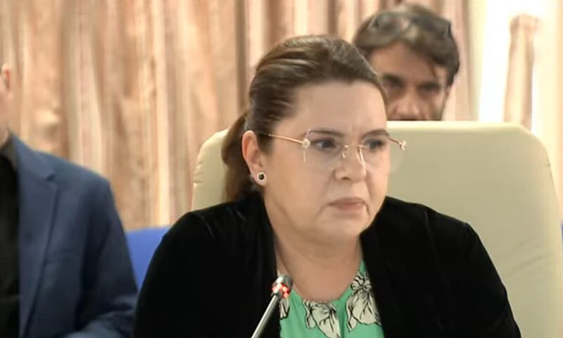 Adriana Săftoiu, șefa TVR, mesaj compromițător trimis de pe telefonul ei. Atacul hackerilor