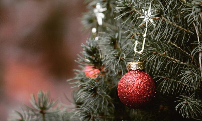 De ce decorăm un brad de Crăciun. Tradiția își are originile în Germania