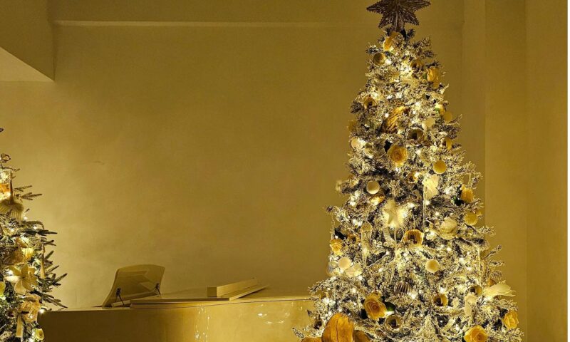 Moda brazilor de Crăciun închiriați. Cum a prins în România un serviciu care schimbă tradiția și cât costă