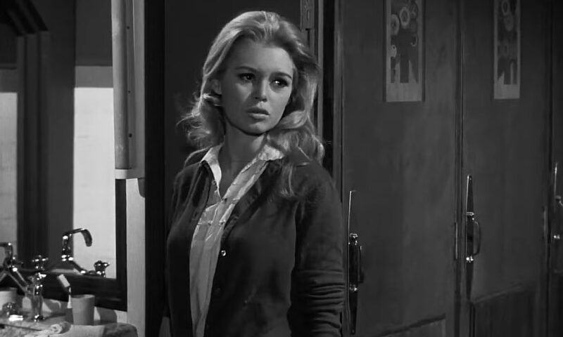 Brigitte Bardot, o viață trăită în atenția lumii și încheiată în tăcere