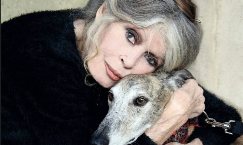 Ultimul drum al lui Brigitte Bardot către cimitirul de la malul mării. Nu l-a vrut pe Macron la înmormântare