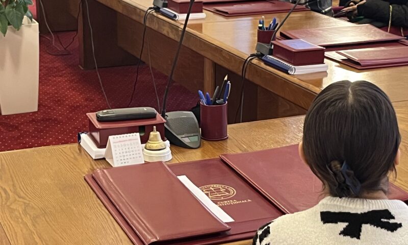 CCR, pe înțelesul copiilor! De „Ziua Porților Deschise”, elevii au aflat ce fac judecătorii în robe vișinii. Exclusiv