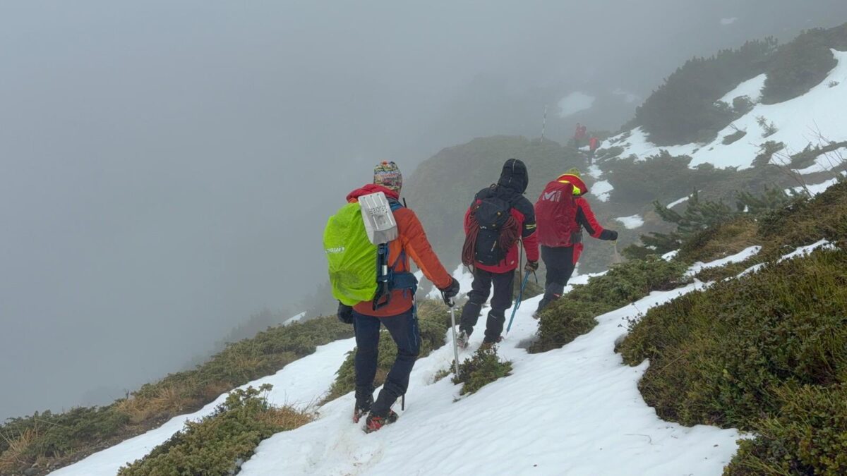 În căutarea lui George