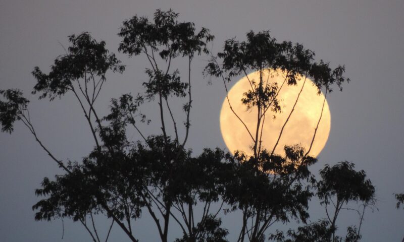 Ultima Lună Plină a anului aduce Superluna rece. Ce semnificații astrologice are