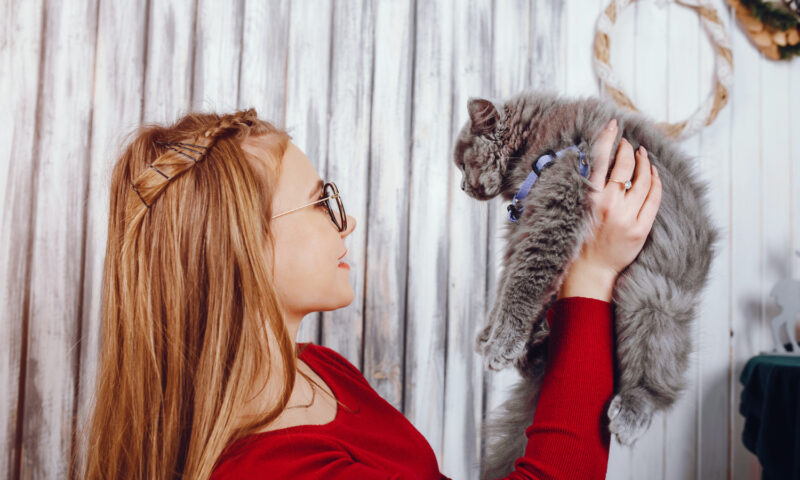 Reguli de bază pentru cei care adoptă un animal pentru prima dată