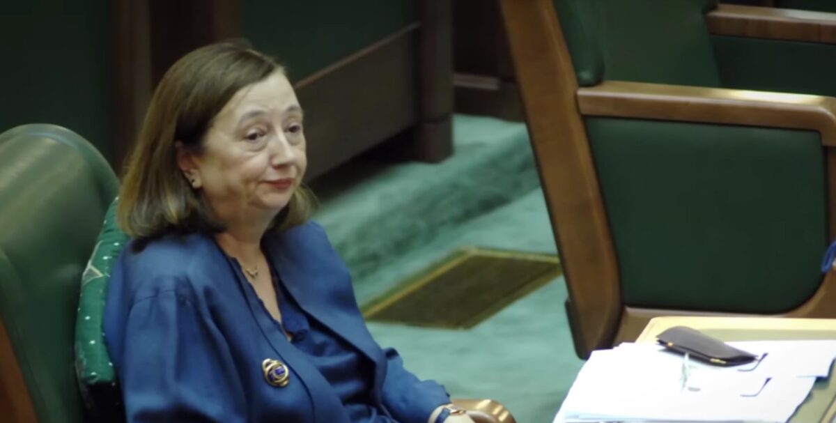 Cine va moșteni, de fapt, averea Rodicăi Stănoiu. Ultima dorință a fostului ministru