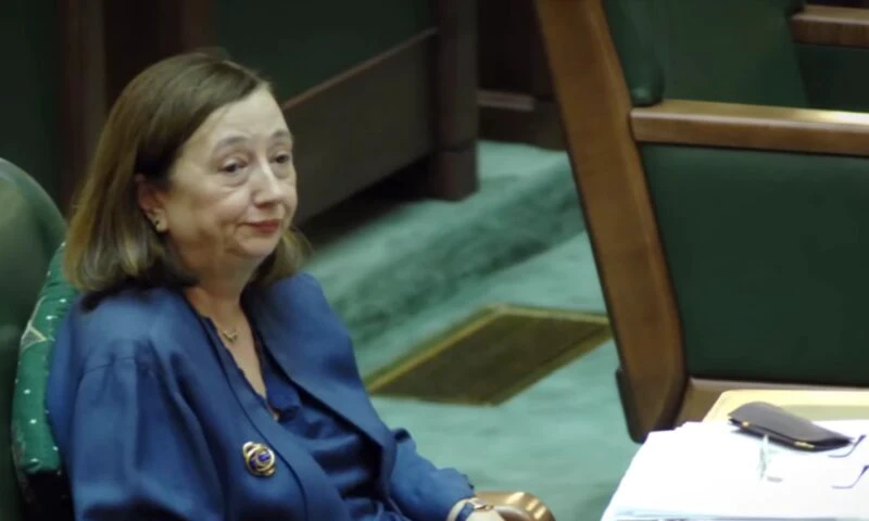 Ce s-a întâmplat în spital înainte de moartea Rodicăi Stănoiu: A trebuit să chemăm paza