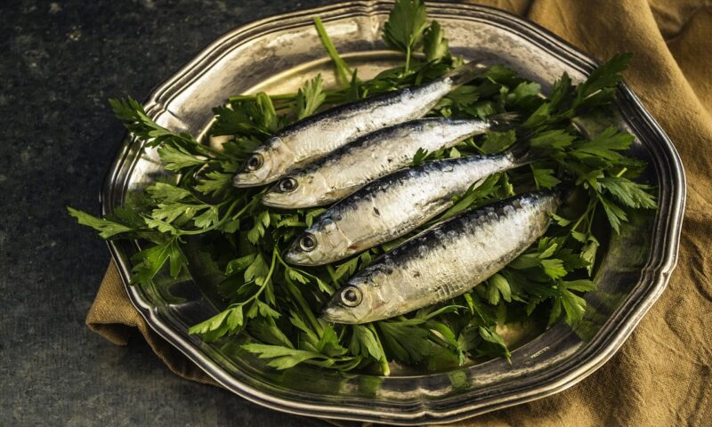 Un cercetător a mâncat 1.000 de conserve de sardine într-o lună. Concluziile experimentului
