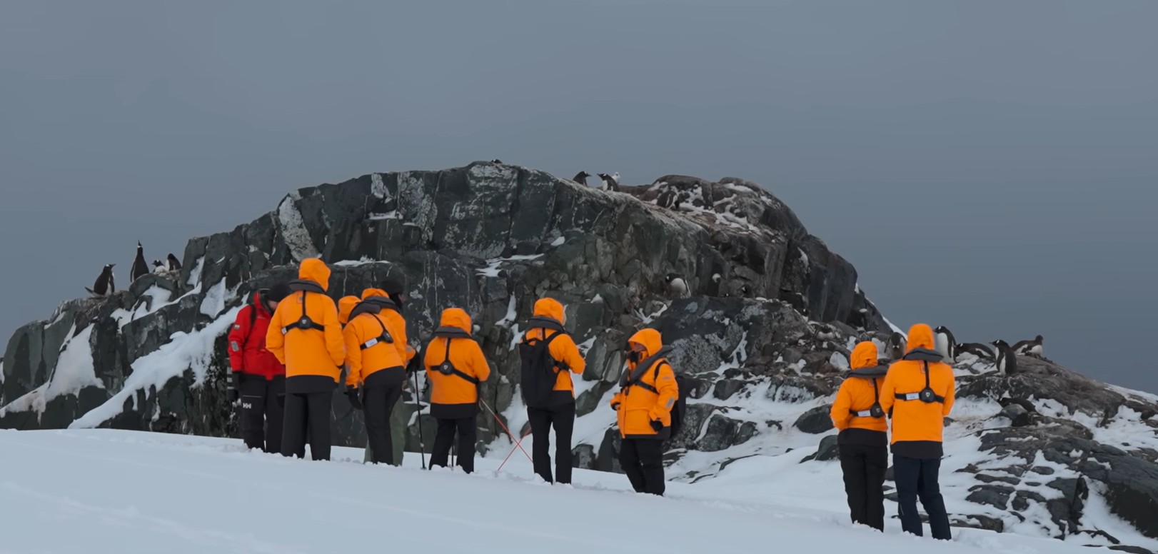 Turism în Antarctica