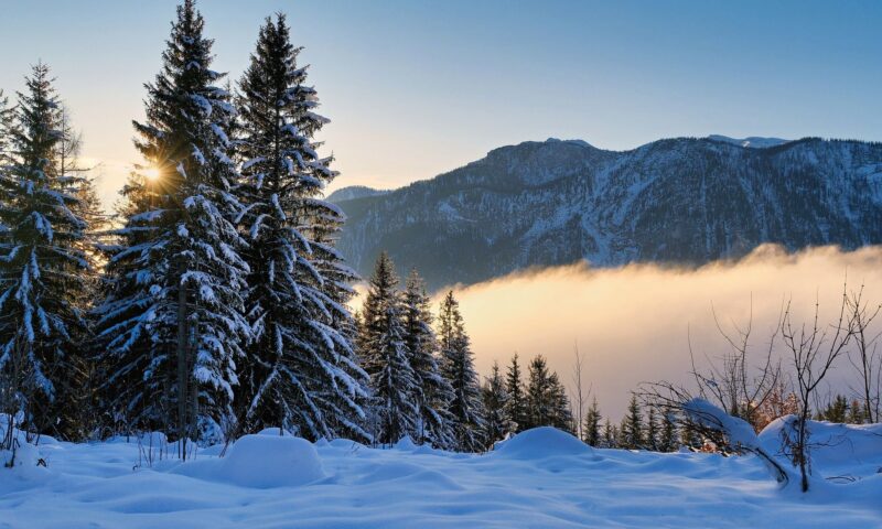 Cum va fi vremea de Crăciun. Prognoza actualizată de ANM pe regiuni