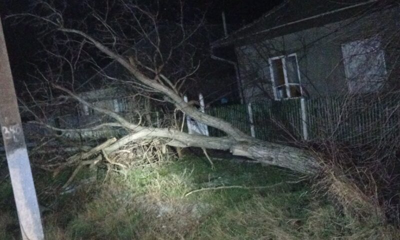 Vântul puternic a pus la grea încercare serviciile de urgență. Peste 80 de intervenții în toată Republica Moldova