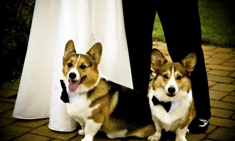 „Fără nicio îndoială, Regina Angliei este încă aici”. Declarația bizară a lui Sarah Ferguson care a uimit Casa Regală