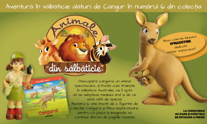Cangurul, o nouă descoperire în colecția „Animale din sălbăticie”