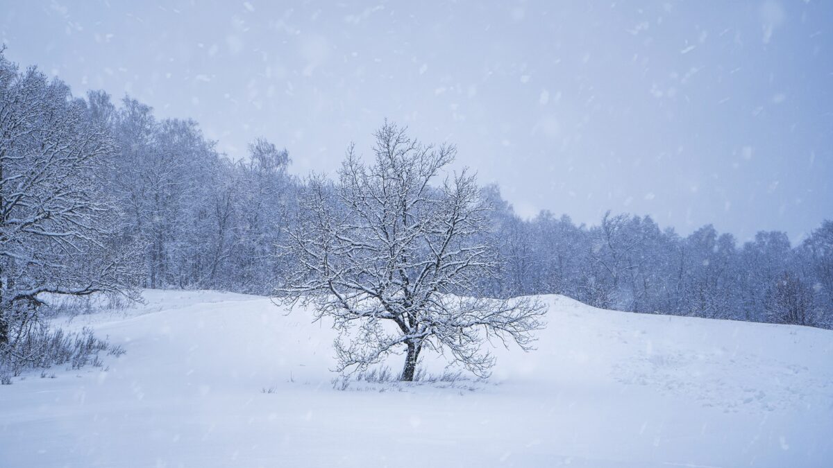 Prognoza meteo, 29 decembrie. Vânt puternic, viscol și temperaturi scăzute în majoritatea regiunilor