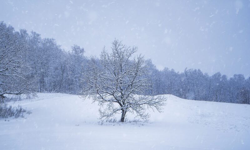 Câte valuri de ger mai vin peste România. Prognoza de la ANM e neliniștitoare