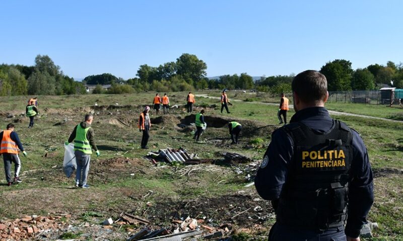 Cât costă să angajezi un deținut pentru munca în gospodărie. Oferta unui penitenciar