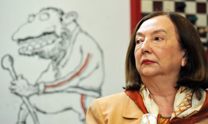 Răsturnare de situație în cazul Rodicăi Stănoiu după ultimele dovezi găsite în urma perchezițiilor