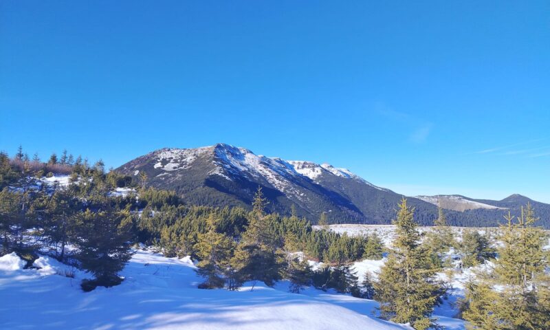 Sfaturi pentru turiștii care vor pleca în drumeții. Ce spun salvamontiștii