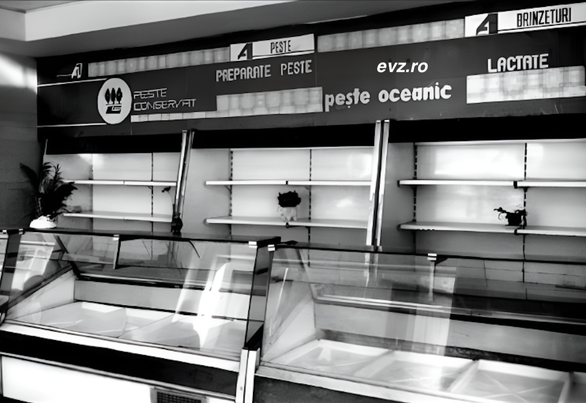 Vitrina alimentara 1989