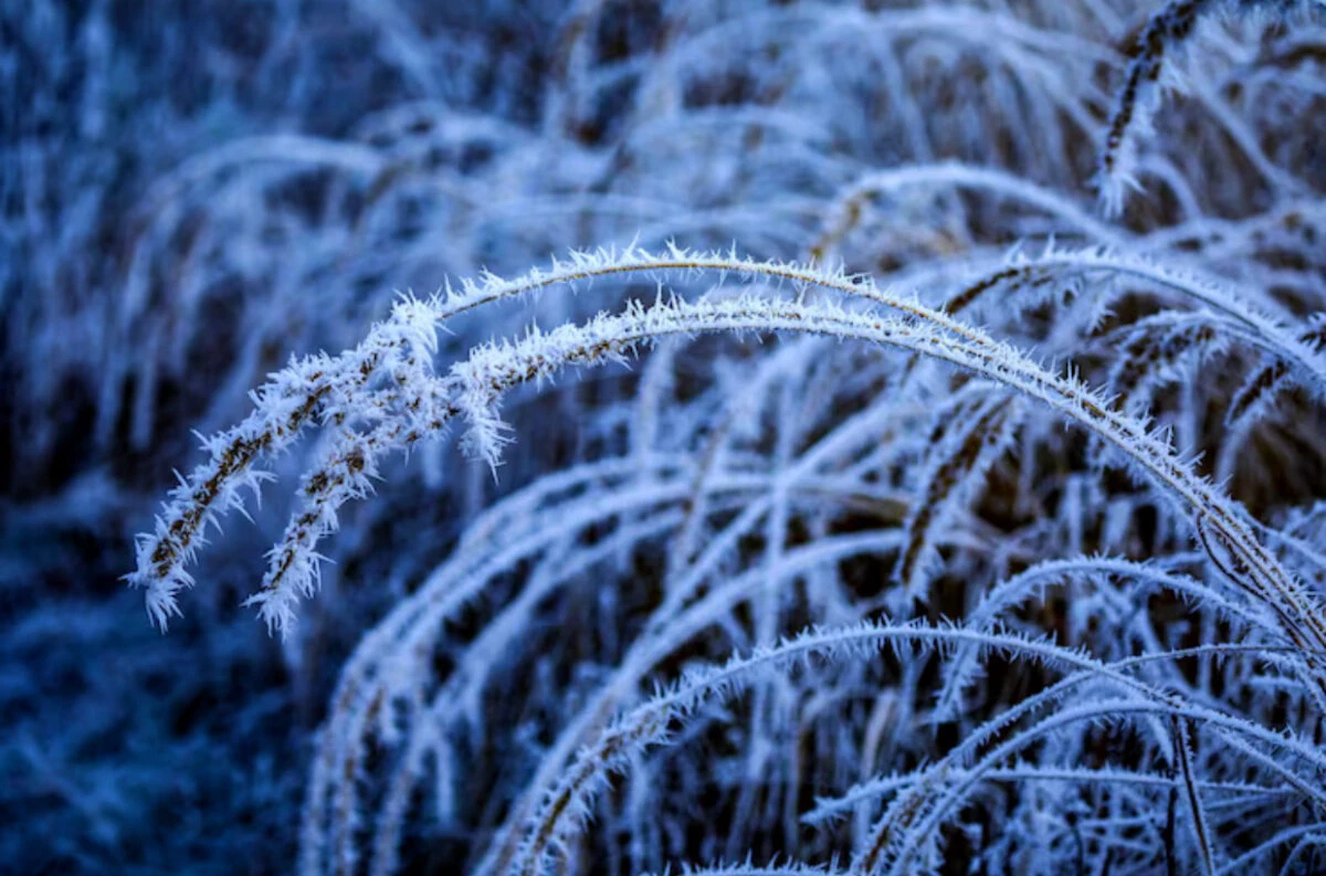 Prognoza meteo, 20 decembrie. Temperaturile scad semnificativ în toată țara. Nu vor lipsi ploile