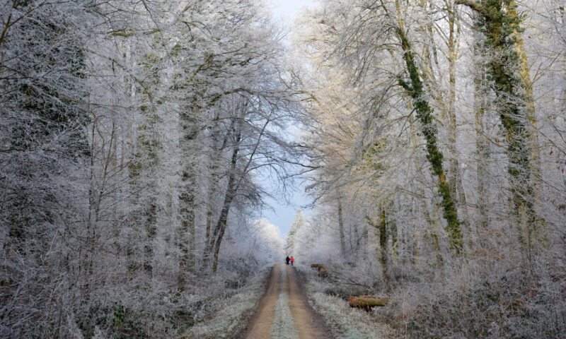 Prognoza meteo, 12 decembrie. Vremea se răcește de la o zi la alta. Temperaturi sub pragul înghețului în unele zone